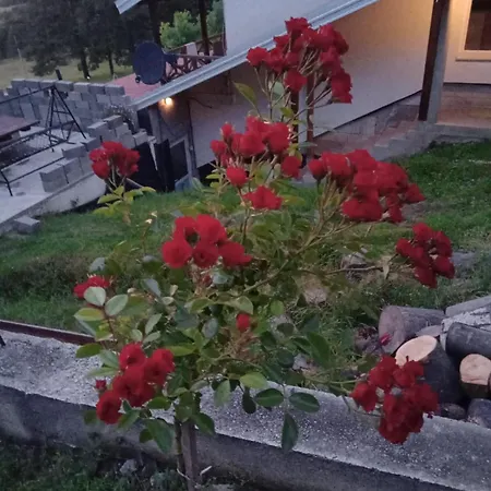 Ispod Duge Διαμέρισμα *